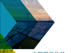 2020中國碳中和綜合報(bào)告